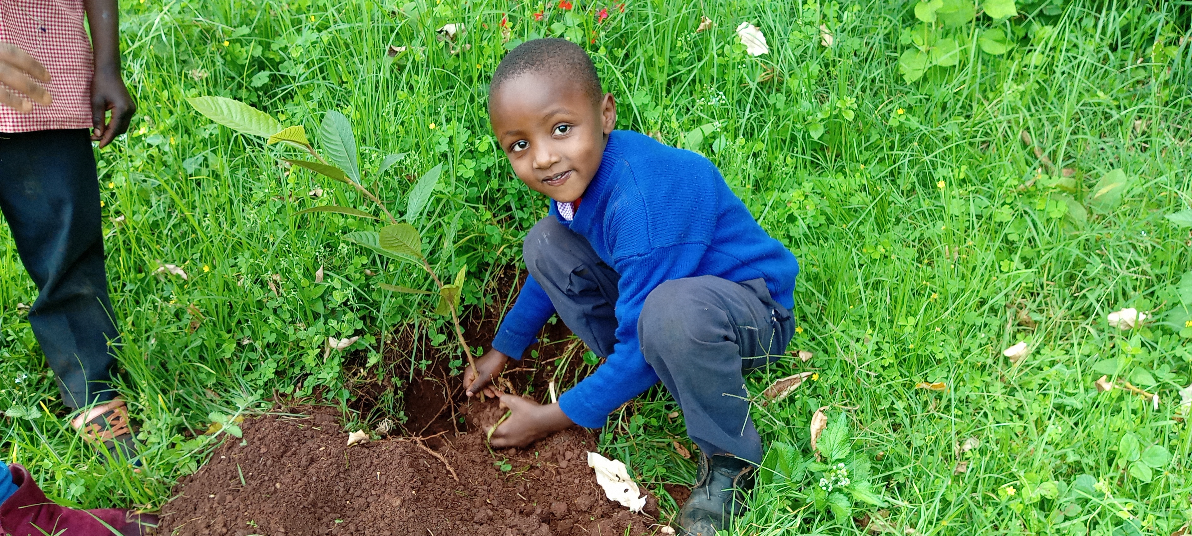 Child planting a tree